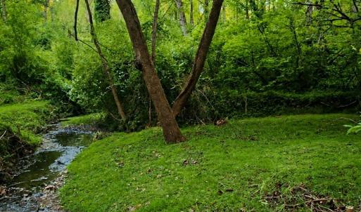 Photo #6 of 296 Tommie Wood Ln, Lynchburg, VA 4.0 acres