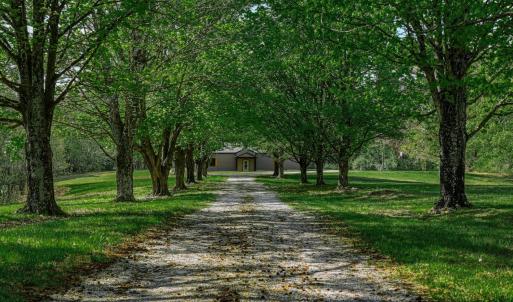 Photo #43 of 2554 Sandy Level Road, Goodview, VA 5.6 acres