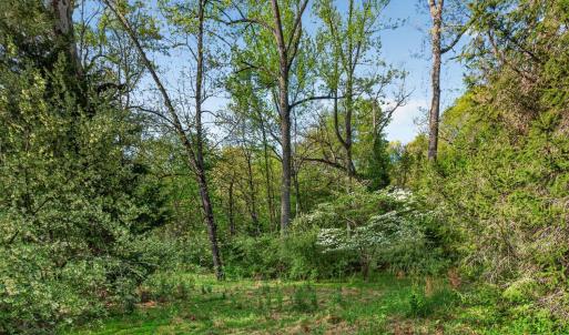 Photo #29 of 2134 Woodcrest Drive, Lynchburg, VA 0.9 acres