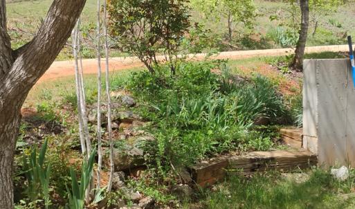 Photo #45 of 4183 TYE RIVER Road, Amherst, VA 14.3 acres