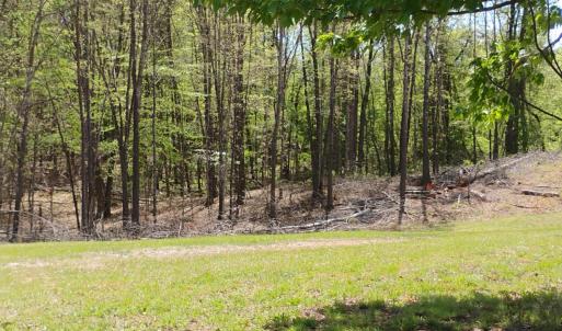 Photo #53 of 4183 TYE RIVER Road, Amherst, VA 14.3 acres