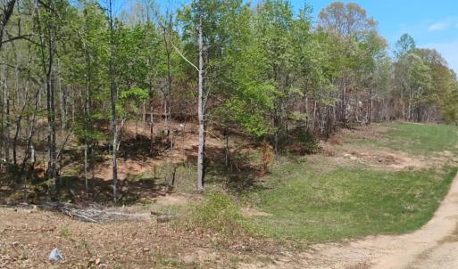 Photo #49 of 4183 TYE RIVER Road, Amherst, VA 14.3 acres