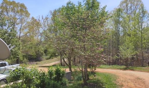 Photo #62 of 4183 TYE RIVER Road, Amherst, VA 14.3 acres