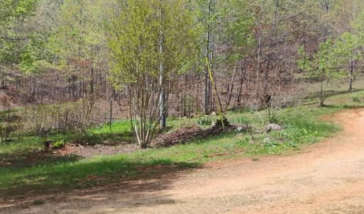 Photo #42 of 4183 TYE RIVER Road, Amherst, VA 14.3 acres