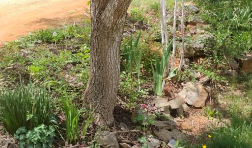 Photo #43 of 4183 TYE RIVER Road, Amherst, VA 14.3 acres