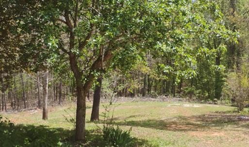 Photo #44 of 4183 TYE RIVER Road, Amherst, VA 14.3 acres