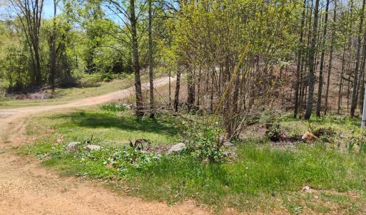 Photo #67 of 4183 TYE RIVER Road, Amherst, VA 14.3 acres