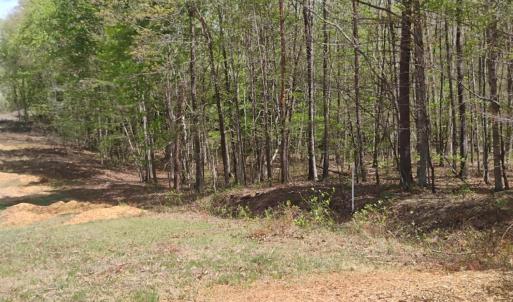 Photo #50 of 4183 TYE RIVER Road, Amherst, VA 14.3 acres