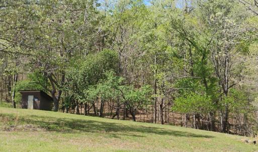 Photo #54 of 4183 TYE RIVER Road, Amherst, VA 14.3 acres