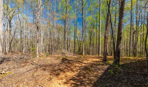 Photo #33 of 2305 Smith Mountain Lake Parkway, Huddleston, VA 1.0 acres