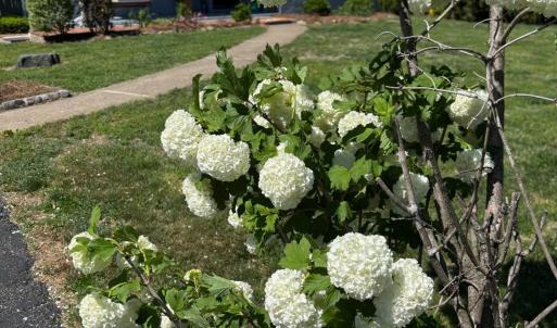 Photo #43 of 110 Lemon Drive, Lynchburg, VA 0.7 acres