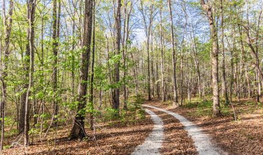 Photo #77 of 278 Salt Lick Lane, Appomattox, VA 50.6 acres