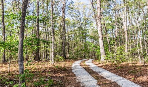 Photo #76 of 278 Salt Lick Lane, Appomattox, VA 50.6 acres