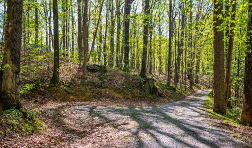 Photo #59 of 3882 Rocky Mountain Road, Forest, VA 9.5 acres