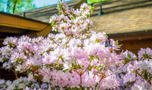 Photo #39 of 3882 Rocky Mountain Road, Forest, VA 9.5 acres