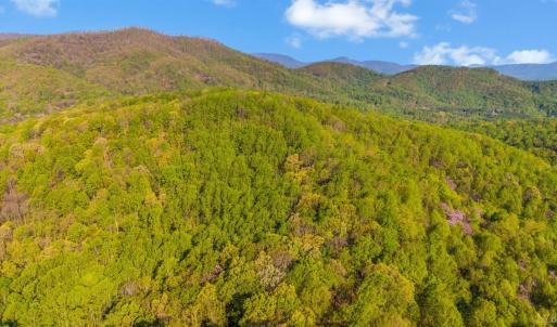 Photo #64 of 3882 Rocky Mountain Road, Forest, VA 9.5 acres