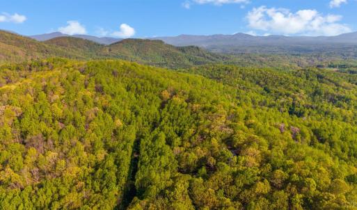 Photo #66 of 3882 Rocky Mountain Road, Forest, VA 9.5 acres