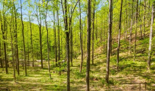 Photo #40 of 3882 Rocky Mountain Road, Forest, VA 9.5 acres