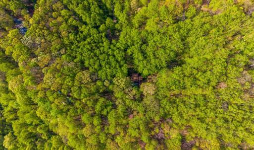 Photo #62 of 3882 Rocky Mountain Road, Forest, VA 9.5 acres