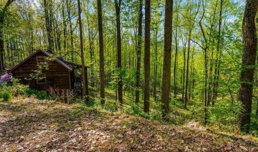 Photo #46 of 3882 Rocky Mountain Road, Forest, VA 9.5 acres