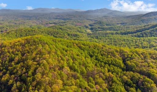 Photo #67 of 3882 Rocky Mountain Road, Forest, VA 9.5 acres