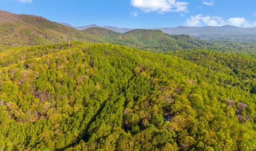 Photo #65 of 3882 Rocky Mountain Road, Forest, VA 9.5 acres