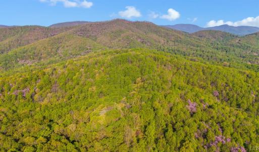 Photo #63 of 3882 Rocky Mountain Road, Forest, VA 9.5 acres