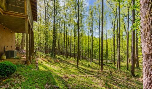 Photo #51 of 3882 Rocky Mountain Road, Forest, VA 9.5 acres