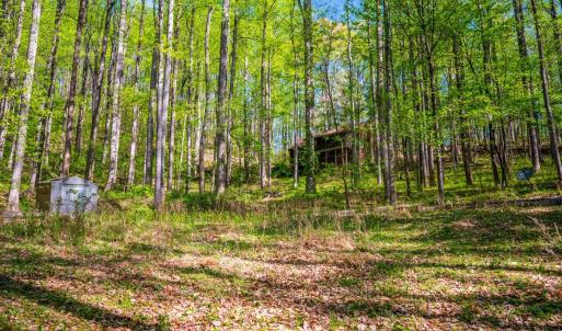 Photo #53 of 3882 Rocky Mountain Road, Forest, VA 9.5 acres