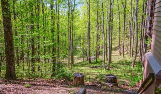 Photo #57 of 3882 Rocky Mountain Road, Forest, VA 9.5 acres