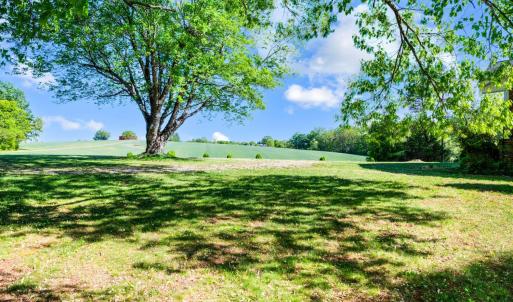 Photo #58 of 1250 Lick Run Farm Road, Forest, VA 1.9 acres