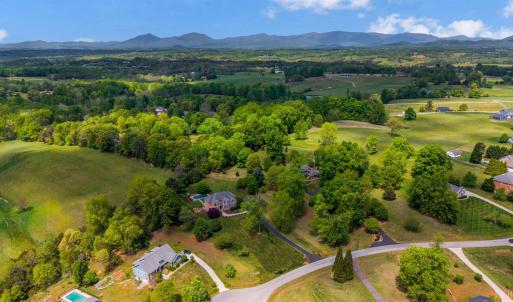 Photo #91 of 1389 South Oak Lawn Drive, Forest, VA 1.6 acres