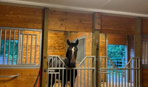 Photo #58 of 651 Scott Jacobs Memorial Drive, Gretna, VA 24.8 acres