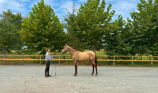 Photo #56 of 651 Scott Jacobs Memorial Drive, Gretna, VA 24.8 acres