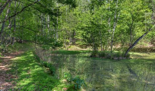 Photo #71 of 141 Cradon Hills, Amherst, VA 30.0 acres