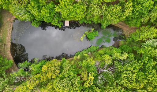 Photo #80 of 141 Cradon Hills, Amherst, VA 30.0 acres