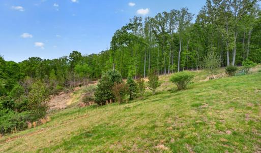 Photo #64 of 141 Cradon Hills, Amherst, VA 30.0 acres