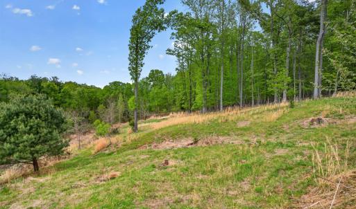 Photo #67 of 141 Cradon Hills, Amherst, VA 30.0 acres