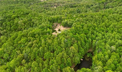 Photo #82 of 141 Cradon Hills, Amherst, VA 30.0 acres
