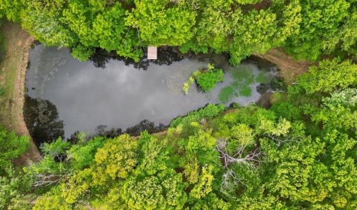Photo #81 of 141 Cradon Hills, Amherst, VA 30.0 acres