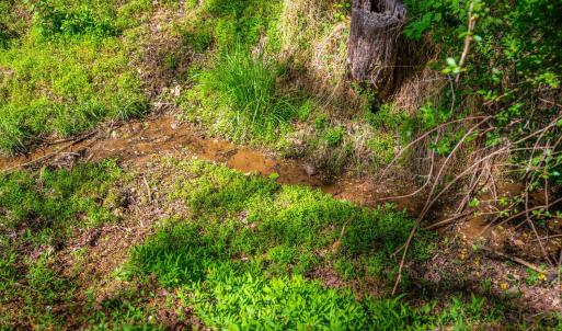 Photo #26 of 140 Turtle Creek Road, Lynchburg, VA 0.4 acres