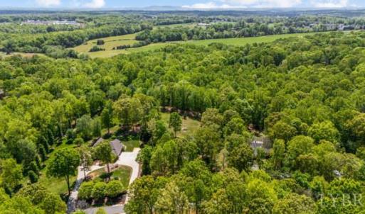 Photo #58 of 217 Millspring Drive, Forest, VA 2.6 acres
