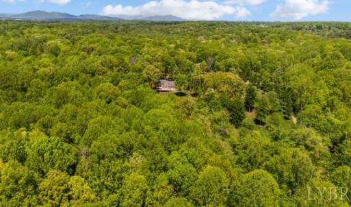 Photo #61 of 217 Millspring Drive, Forest, VA 2.6 acres
