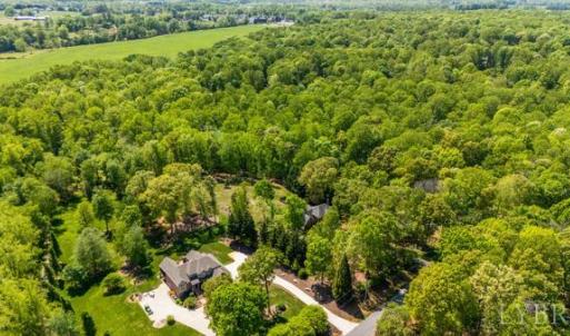 Photo #54 of 217 Millspring Drive, Forest, VA 2.6 acres