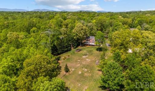 Photo #45 of 217 Millspring Drive, Forest, VA 2.6 acres