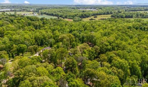 Photo #47 of 217 Millspring Drive, Forest, VA 2.6 acres