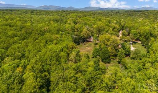 Photo #48 of 217 Millspring Drive, Forest, VA 2.6 acres