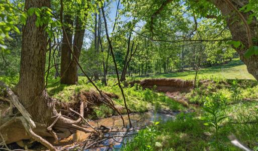 Photo #29 of 316 Quail Ridge Drive, Forest, VA 1.4 acres