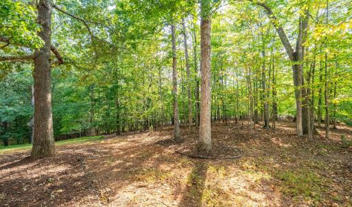 Photo #79 of 1547 Gilfield Drive, Forest, VA 1.1 acres