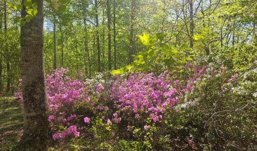 Photo #29 of 1308 Simpkins Lake Road, Bedford, VA 2.3 acres